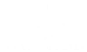 Son Peygamber: Hicret